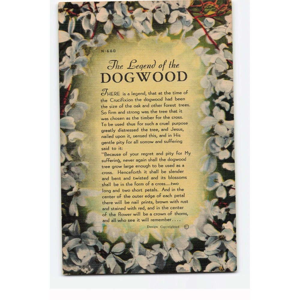 Vintage The Legend of the Dogwood Linen Postcard Asheville Post Card Co N-660